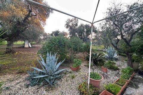 Ruinere i Ostuni, Brindisi, Ostuni - € 79.000 | Ref: Lamia Degli Uli - foto 4